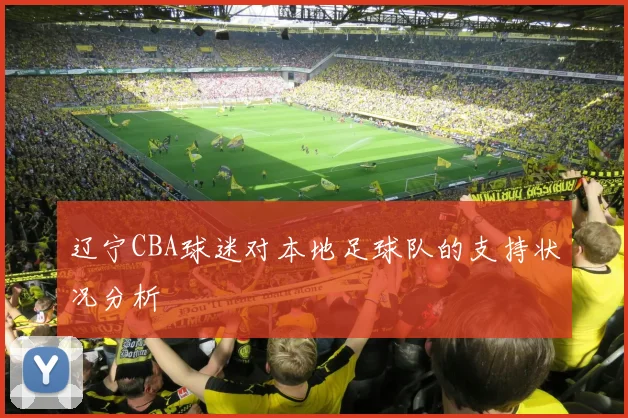 辽宁CBA球迷对本地足球队的支持状况分析