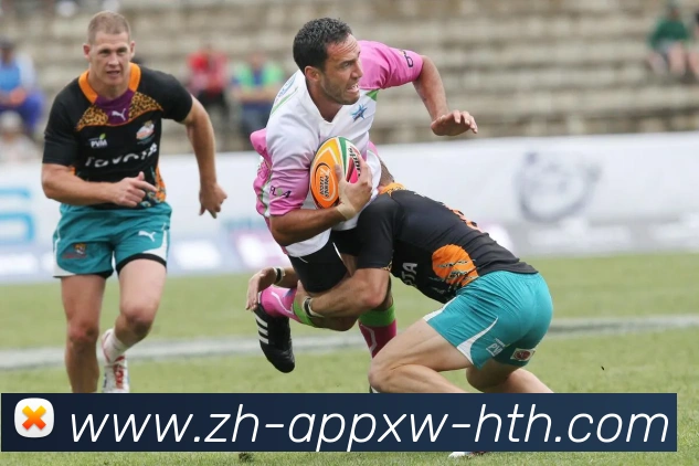 多媒体互动体验